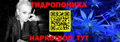 ГАЛЛЮЦИНОГЕННЫЕ ГРИБЫ Вышний Волочёк