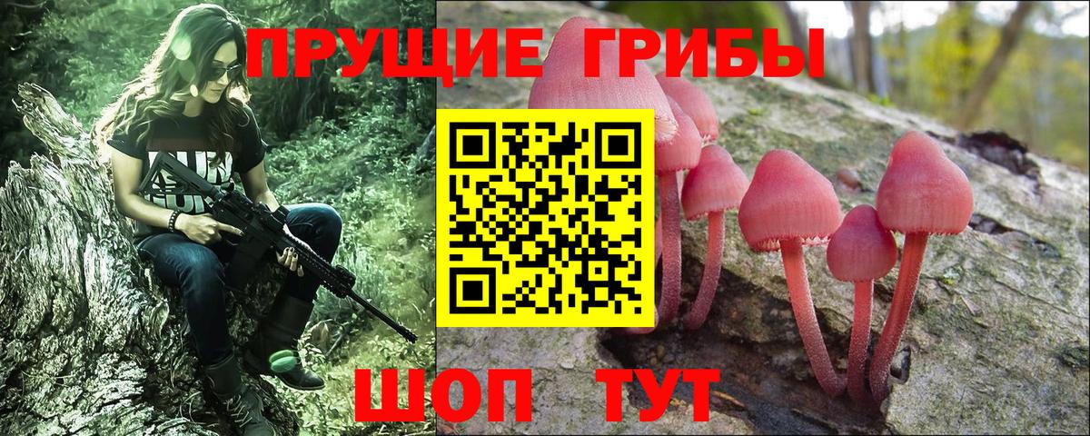 Псилоцибиновые грибы Psilocybine cubensis Новоуральск