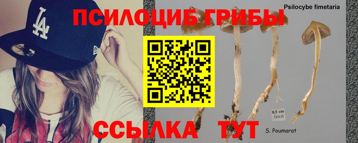 Галлюциногенные грибы Magic Shrooms  Галлюциногенные грибы MAGIC MUSHROOMS  Новоуральск  Вход с VPN 